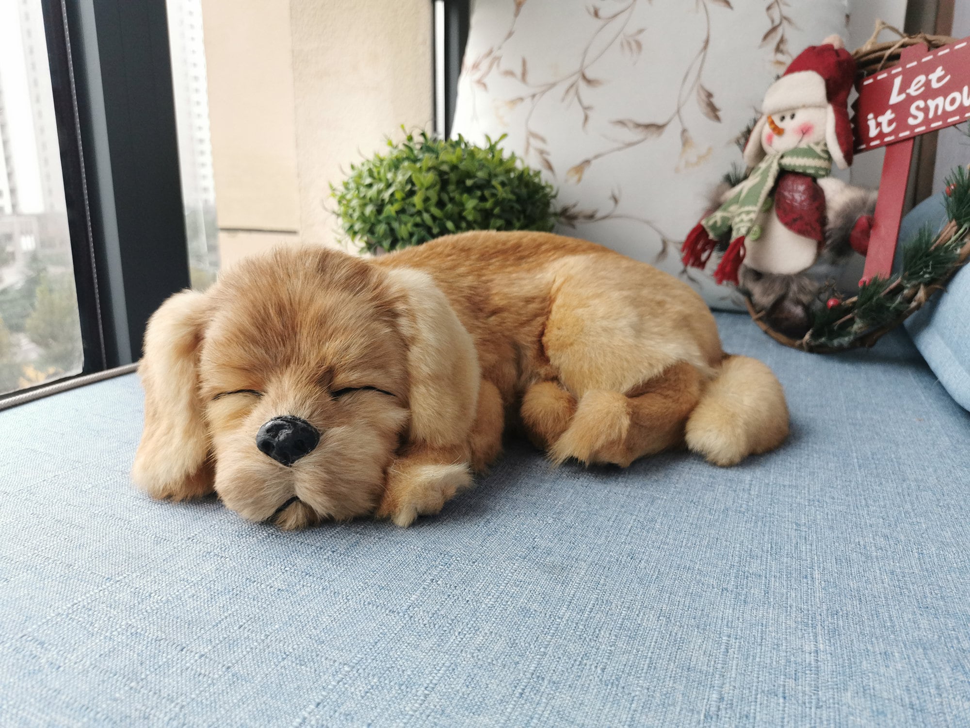 Ontdek 400 Knuffels- en knuffel-ideeën | dieren, schattige dieren,  schattigste dieren en meer, image size:2000x1500