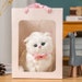 PetCraft