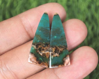 Opalized Wood Earrings