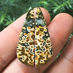 May include: Two teardrop-shaped gemstones with a unique pattern of brown and yellow spots on a green and white background. The gemstones are held in a hand, showcasing their polished surface and natural beauty. Ideal for jewelry making.