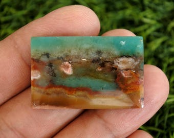 Scenic Multicolour Opalized Petrified Wood