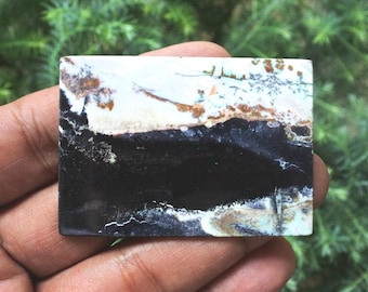 Opalized  Wood