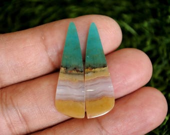 Opalized Petrified Wood Earrings Pair