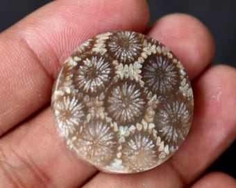 Pedra preciosa Ágata Flor de Coral: Cristal Polido (29,5 x 7 mm)