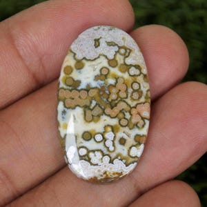 May include: Oval-shaped gemstone with a unique pattern. The stone features a cream-colored base with intricate patterns of brown, tan, and white, creating a natural, organic design. The polished surface reflects light, highlighting the stone's details.