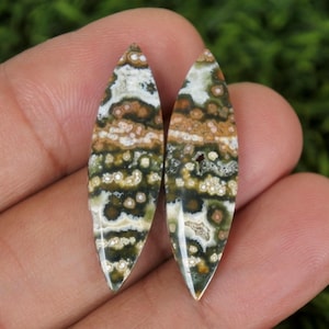 Puede incluir: Dos piedras preciosas pulidas en forma de lágrima. Las piedras muestran un patrón de tonos blancos, marrones y verdes. Las piedras preciosas se sostienen en una mano contra un fondo verde borroso, mostrando su belleza natural y variaciones de color únicas.