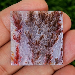 Könnte beinhalten: Quadratischer Edelstein mit einem einzigartigen Muster. Der Stein hat eine weiße Basis mit detaillierten Designs in Braun-, Rot- und Orangetönen, die an eine natürliche Landschaft oder pflanzenartige Formen erinnern. Der Stein wird in einer Hand gehalten.