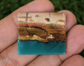 Opalized Petrified Wood