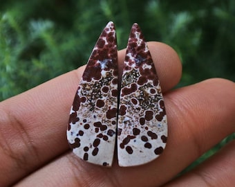 Par de brincos de jaspe oceânico