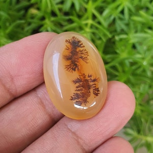 Dendritic Agate Gemstone (31x22x7,8 mm)