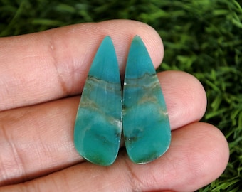Opalized Wood Earrings Pair