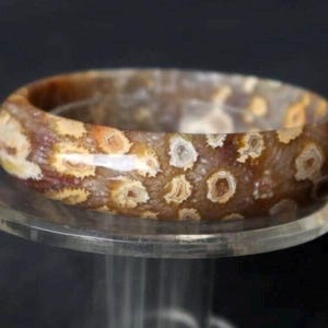 May include: A polished, round gemstone bracelet. The bracelet features a mix of brown, tan, and cream colors with a speckled pattern. The bracelet is displayed on a clear, circular stand against a dark background.