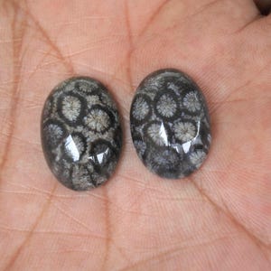 Coral Agate Gemstone: Flower Pattern Rock (19-20mm)