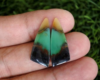 Opalized Petrified Wood Earrings Pair