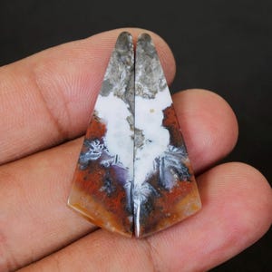 Multicolour Java Agate Earrings Pair