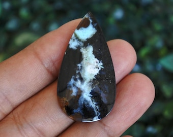 Opalized  Wood