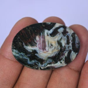 Pu&ograve; includere: Primo piano di una pietra di agata lucidata di forma ovale con un motivo a spirale di nero, bianco, marrone e verde.