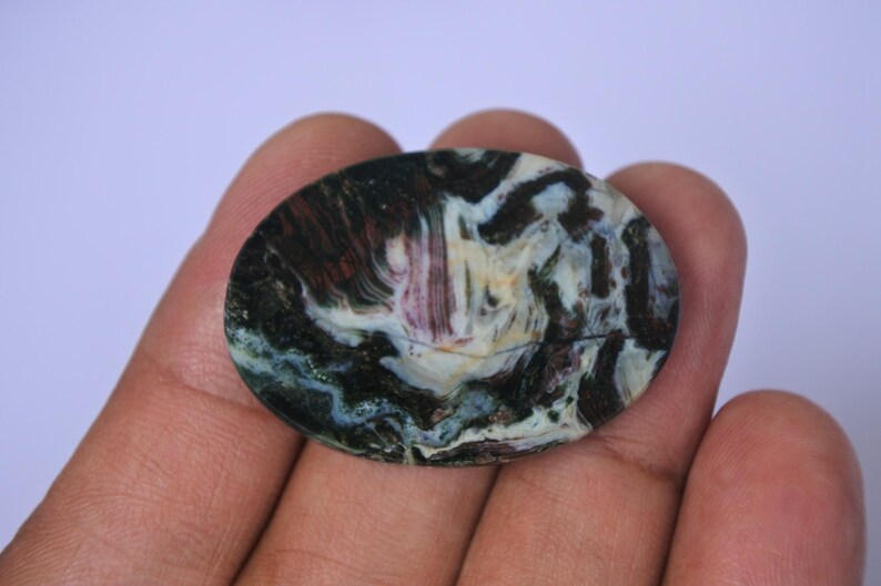 Pu&ograve; includere: Primo piano di una pietra di agata lucidata di forma ovale con un motivo a spirale di nero, bianco, marrone e verde.