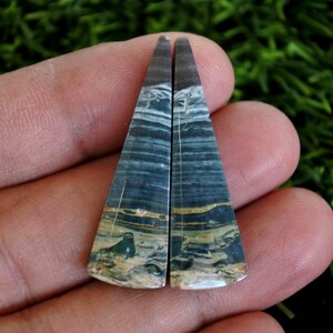 May include: Two triangular gemstones with a layered pattern of blue, brown, and cream colours. The gemstones are held in a hand, with a green background visible. The stones have a polished, smooth surface.