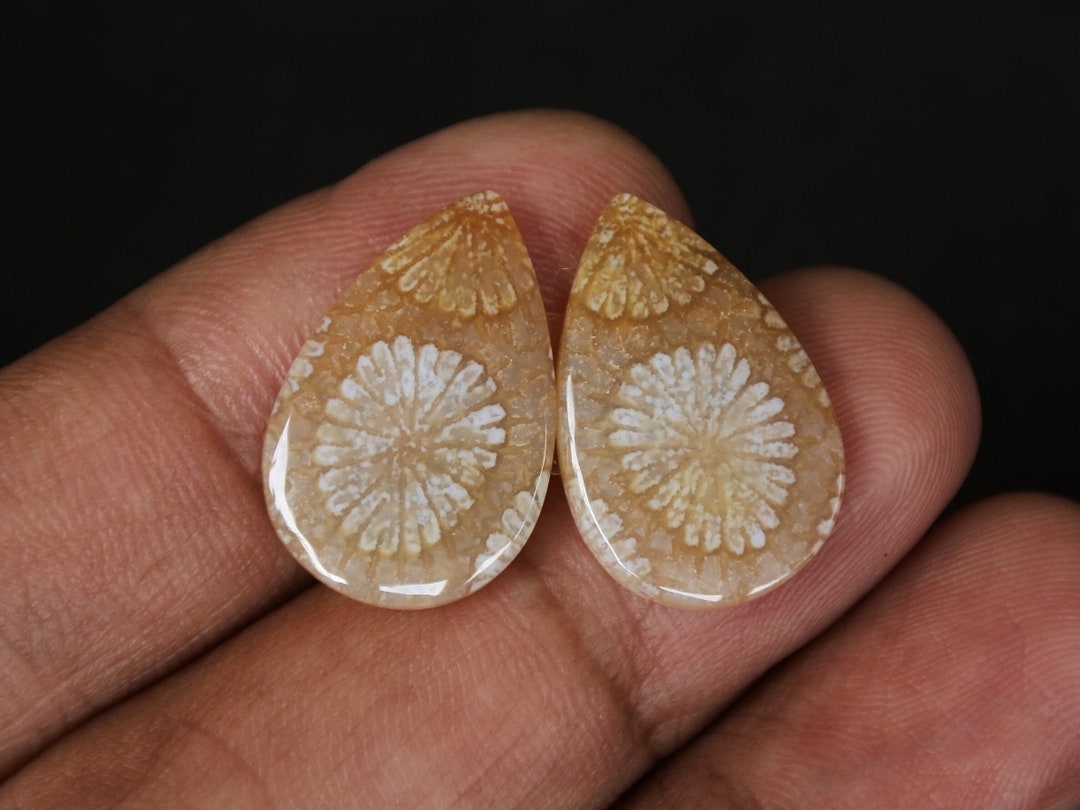 Coral Agate Earring Pair,agate Rock,agate Stone, Malachite Gemstone