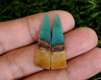Opalized Petrified Wood Earrings Pair