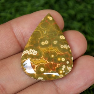 Puede incluir: Un cabujón de jaspe oceánico en forma de lágrima, pulido, de color verde, marrón y blanco, con un patrón de manchas blancas y marrones en espiral.