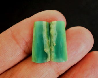 Opalized Wood Earrings