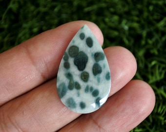 Coral Agate