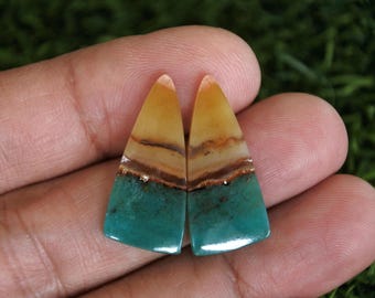 Opalized Petrified Wood Earrings Pair