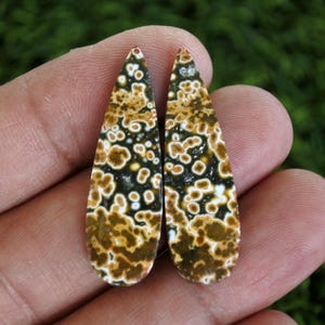 Puede incluir: Dos piedras preciosas en forma de lágrima con un patrón único de manchas marrones, beige y negras. Las piedras pulidas se sostienen en una mano sobre un fondo verde borroso, mostrando su belleza natural.