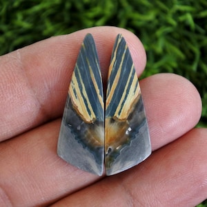 May include: Two polished, triangular gemstones with a striking pattern. The stones feature a gradient of colors, including blue, tan, and gray. The design resembles a stylized wing or feather, with parallel lines and a central, lighter-colored area.