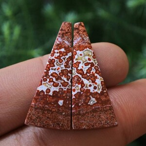 Peut inclure: Une paire de cabochons de forme triangulaire avec un motif d'agate rouge, blanc et brun. Les cabochons sont polis et ont une surface lisse.
