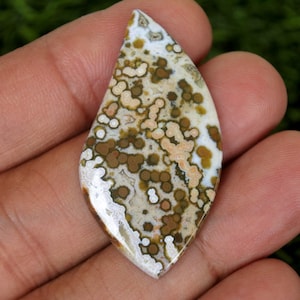 Puede incluir: Una piedra preciosa pulida con forma de lágrima. La piedra presenta un patrón de manchas marrones y beige sobre un fondo crema. La piedra preciosa se sostiene en una mano, con un fondo verde borroso.