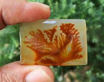 Piedra preciosa de ágata dendrítica: (39 mm)