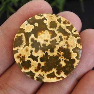 May include: A circular gemstone with a distinctive pattern. The stone displays a blend of dark brown, light brown, and cream hues, producing a marbled appearance. The round shape is smooth, and the stone is held in a hand.