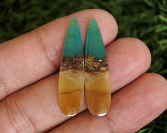 Opalized Petrified Wood Earrings Pair