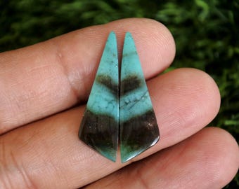 Blue Opalized Petrified Wood Earrings Pair