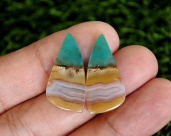 Opalized Petrified Wood Earrings Pair