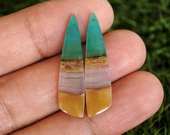 Opalized Petrified Wood Earrings Pair