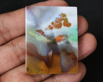 Scenic Multicolor Opalized Petrified Wood