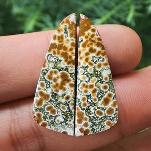 Puede incluir: Dos piedras preciosas pulidas en forma de lágrima. Las piedras presentan un patrón de manchas marrones y beige sobre un fondo blanco y verde. Las piedras preciosas se sostienen en la mano de una persona.