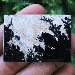 Peut inclure: Une pierre rectangulaire à surface polie. La pierre présente un contraste saisissant de motifs noirs et blancs, les zones blanches ressemblant à un réseau de lignes ramifiées sur fond noir. La pierre est tenue dans une main.