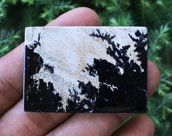 Skamieniałe drewno dendrytyczne Jawy, agat Crazy Lace, kryształowe uzdrawianie