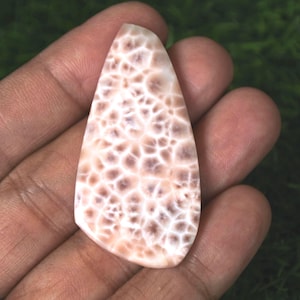 May include: A polished, teardrop-shaped gemstone with a unique pattern. The stone features a network of brown and white, creating a cellular or web-like design. The overall color palette is a mix of cream and light brown.