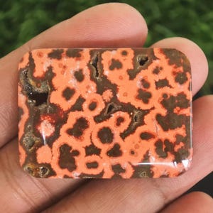 May include: A rectangular gemstone with a polished surface. The stone features a pattern of orange and brown spots and swirls. The gemstone is held in a hand, with a blurred green background.