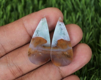 Multicolor Opalized Petrified Wood Earrings Pair