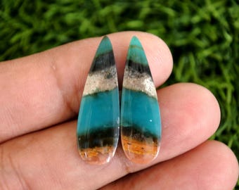 Blue Opalized Petrified Wood Earrings Pair