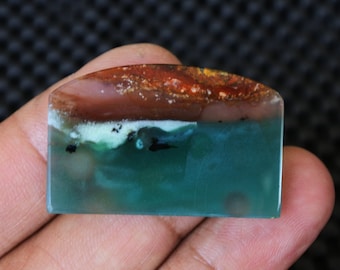 Opalized  Wood