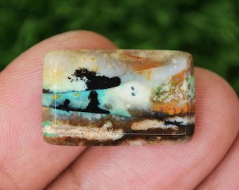 Scenic Multicolor Opalized Petrified Wood