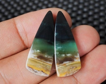 Opalized Wood Earrings